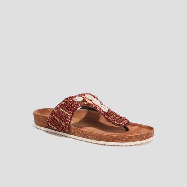 Jamessantos.shop65dd65f1b4 1