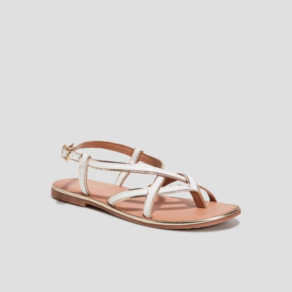 Jamessantos.shopb60eb06ad6 1