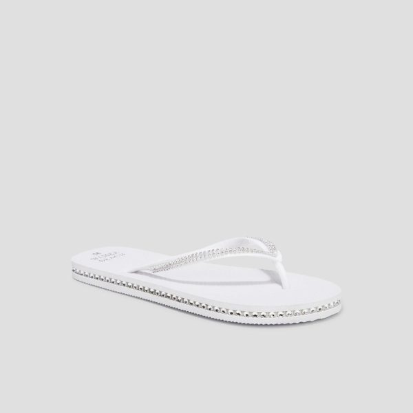 Jamessantos.shopebf547526e 1